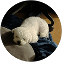 Jessie profile picture